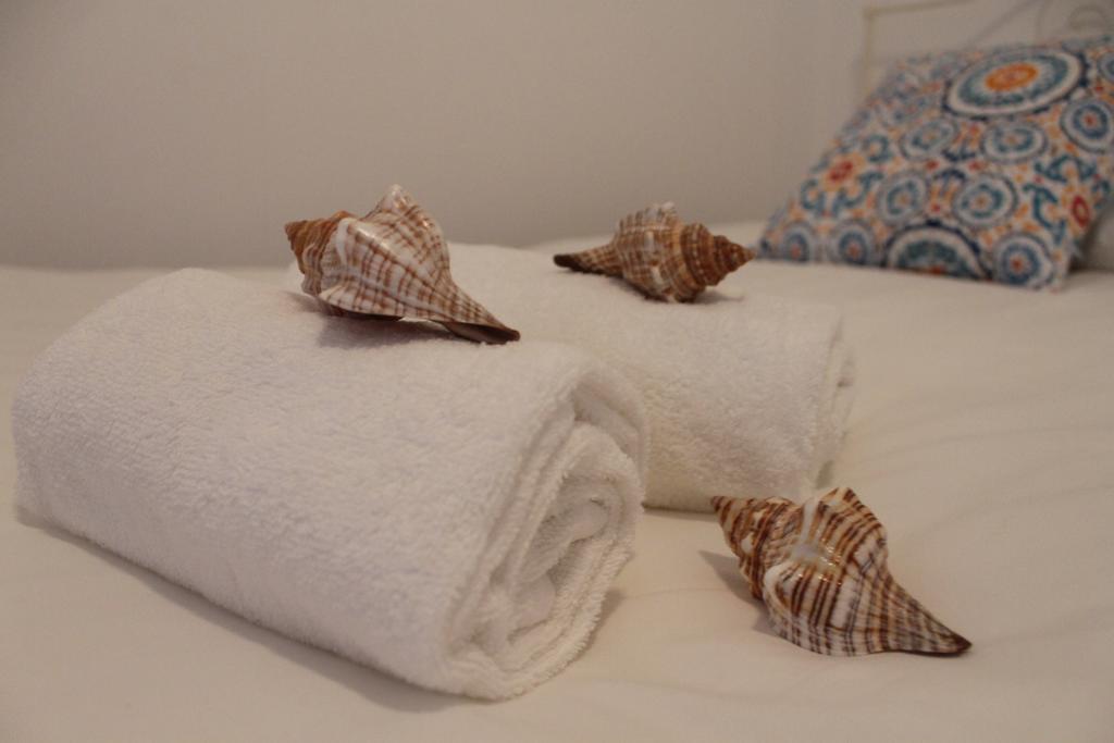 Consolacao Surf & Beach Apartment ภายนอก รูปภาพ